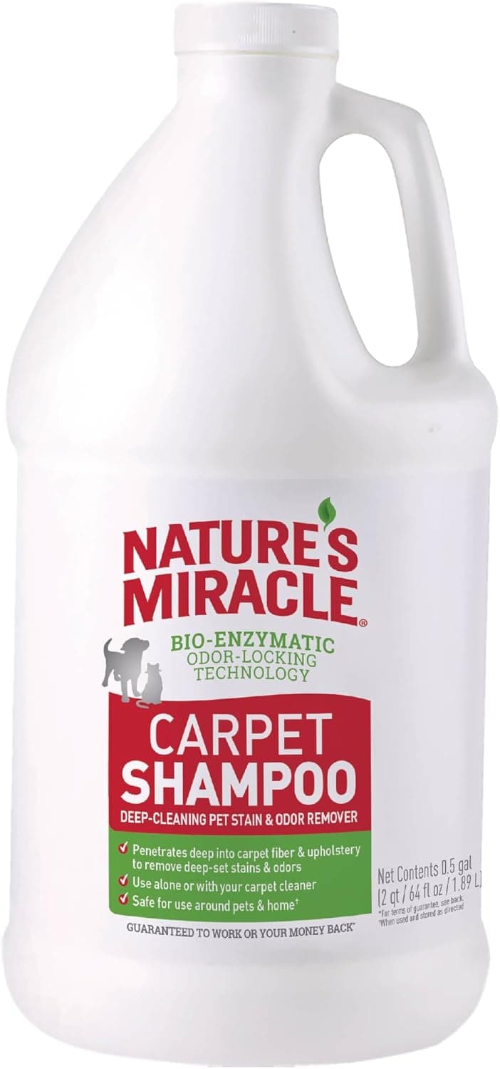 2 Best Carpet Cleaner Natural 2026 - Natural Carpet Cleaning Solutions Tested & Compared